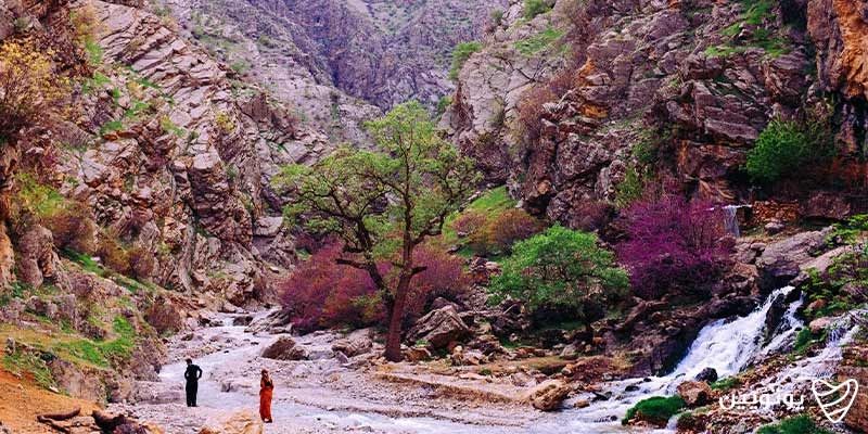 تور کردستان